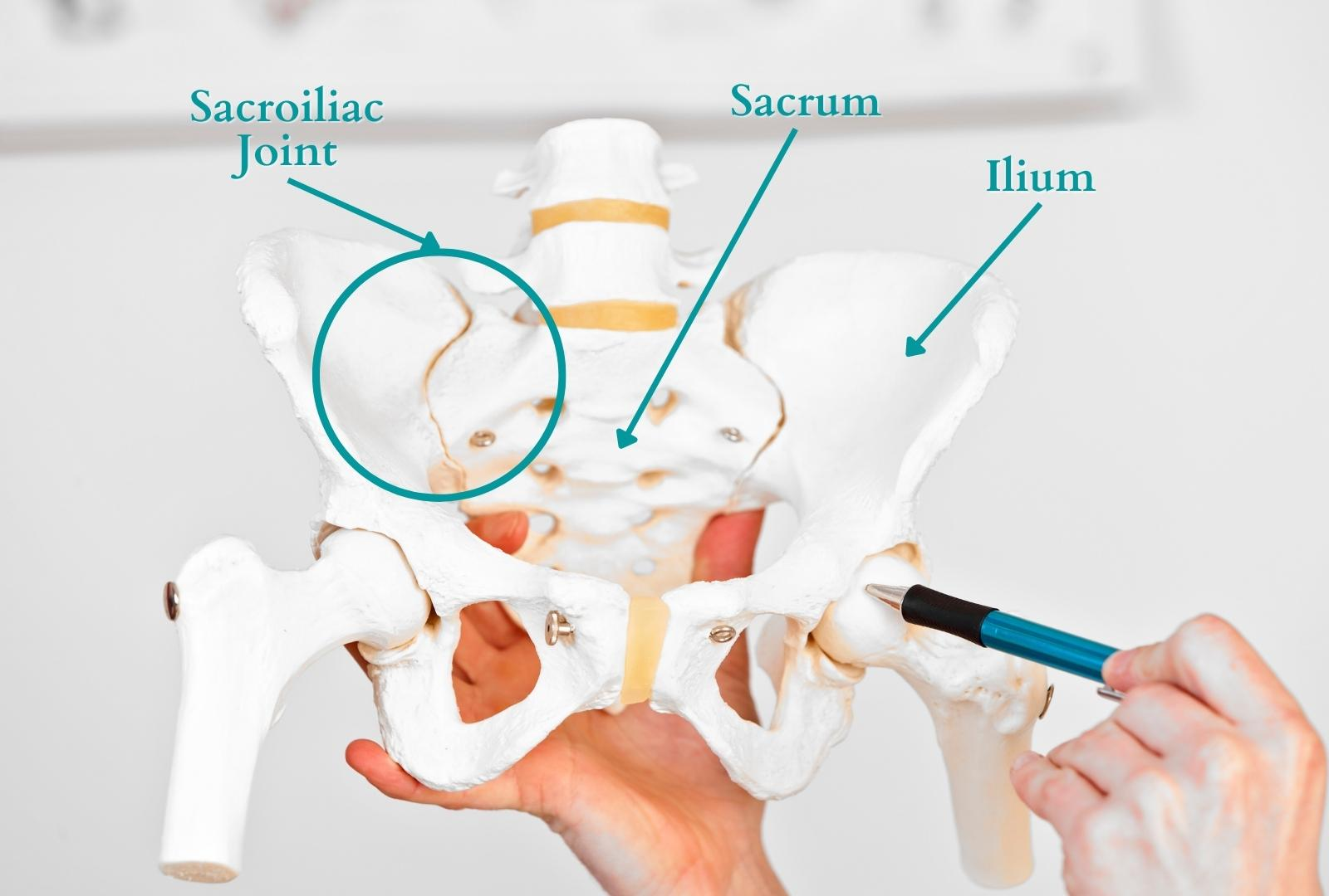 Sacroiliac Joint Dysfunction